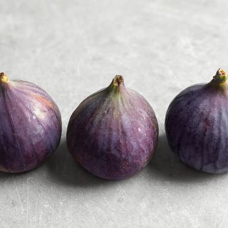 H υποστήριξη της ομαλής λειτουργίας του εντέρου αποτελεί πρωταρχικό στόχο ενός σωστά σχεδιασμένου προγράμματος διατροφής.